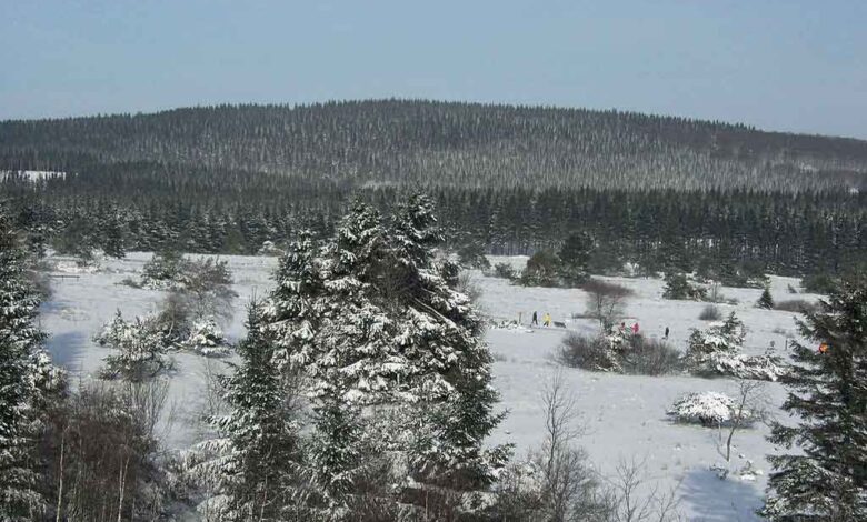 Blick auf den Langenberg im Winter vom Clemensberg. Im Bildvordergrund befindet sich das Naturschutzgebiet Neuer Hagen. (Foto: Schmidti 1977)