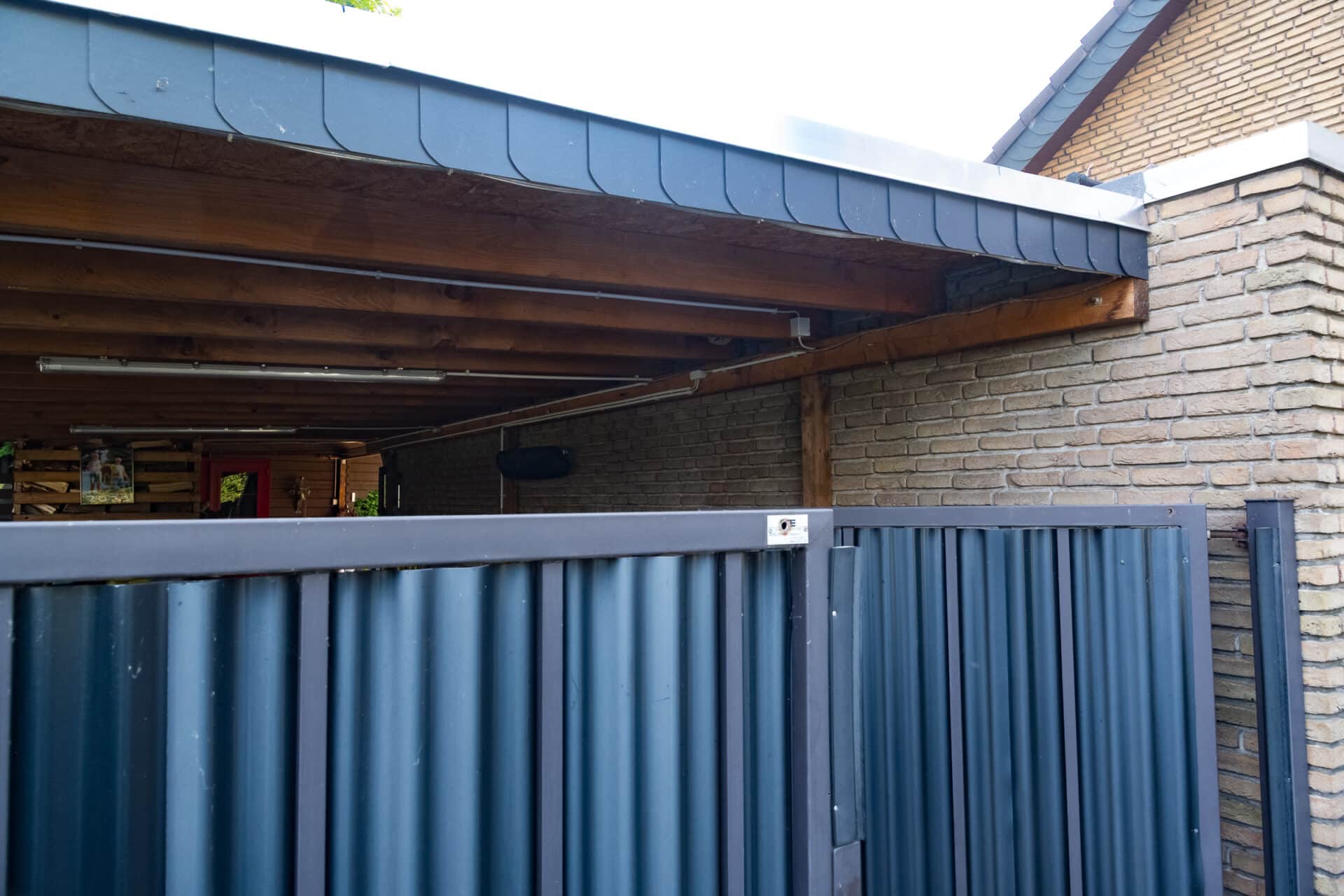 Primärnest der Asiatischen Hornisse (Vespa velutina) in einem Carport in Voerde, Kreis Wesel.