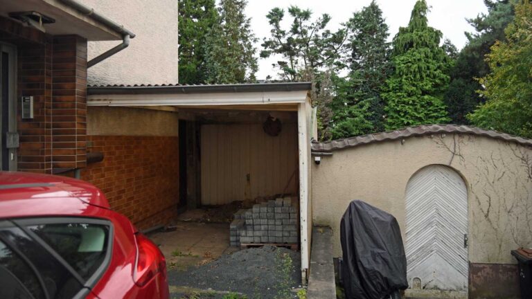 Ein Nest der Asiatischen Hornisse in einer Garage in Troisdorf (Foto: Klaus Maresch)